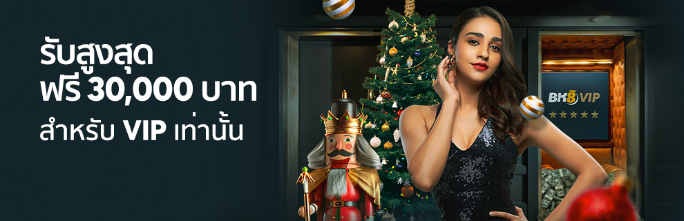 VIP โบนัสเติมเงิน